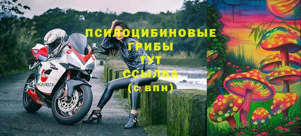 PSILOCYBIN Бородино